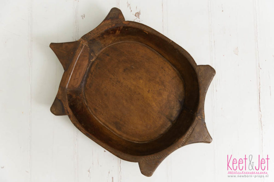 Turtle shaped bowl